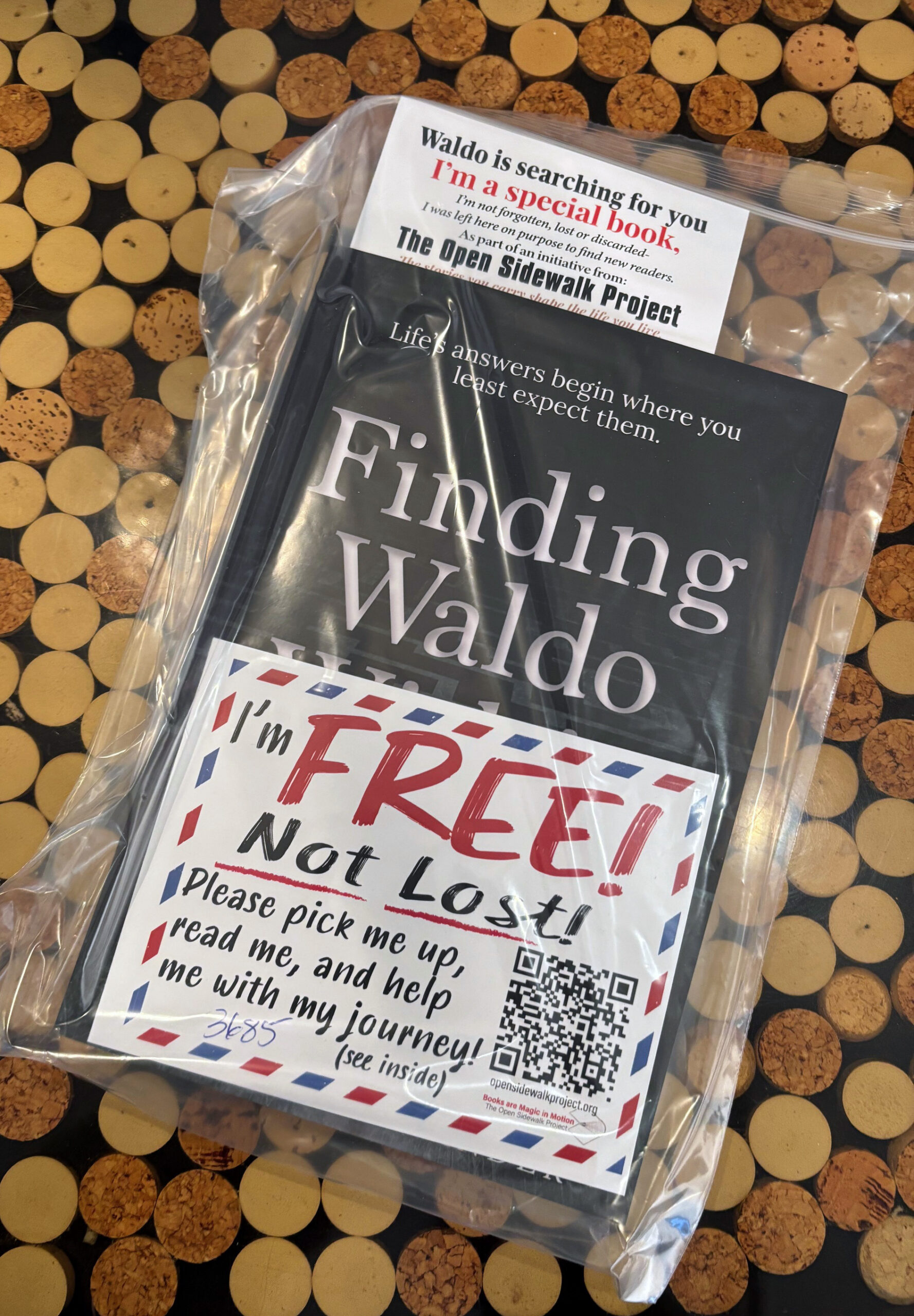 Release Photo- Finding Waldo Within