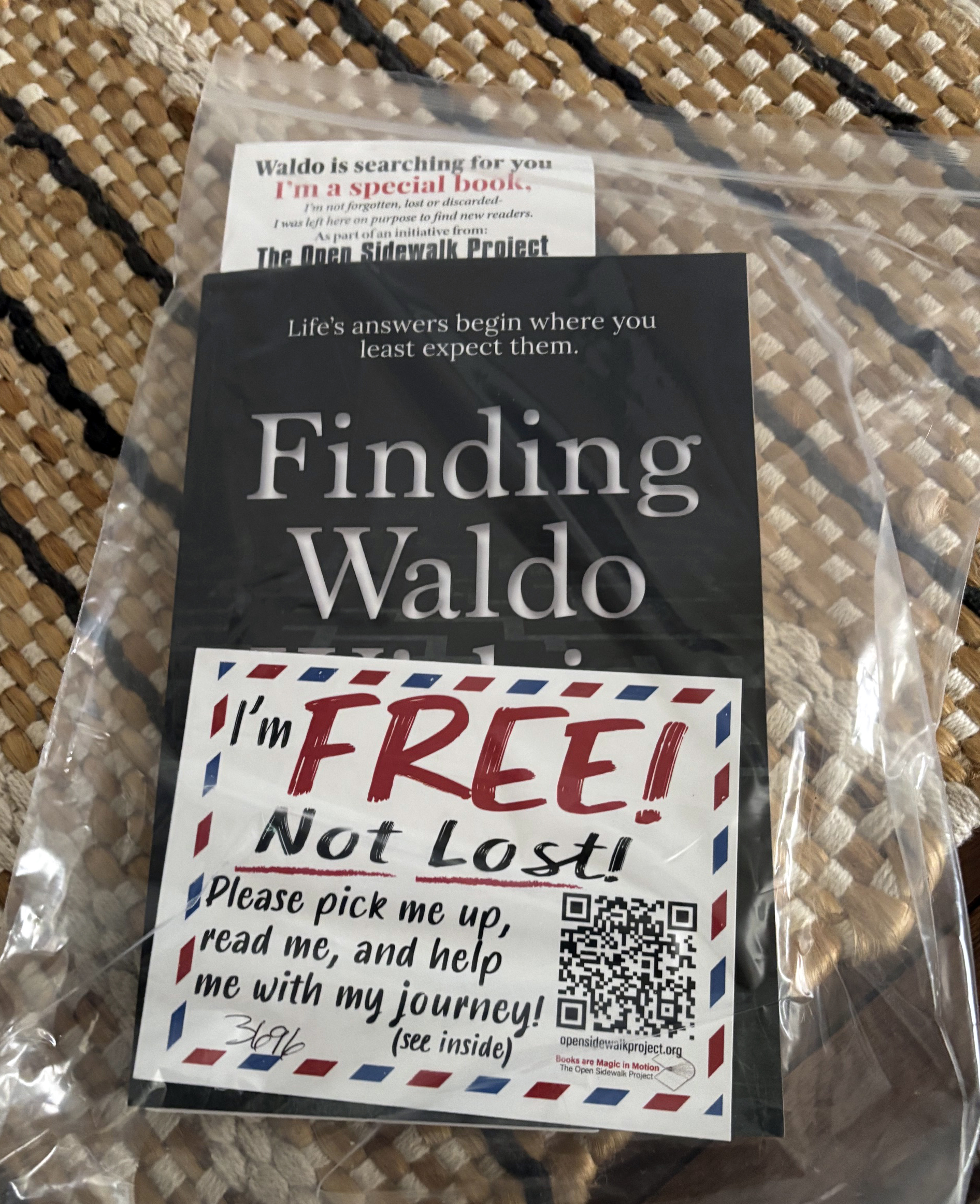 IMG_2460_3696 Release Photo of the book - Finding Waldo Within